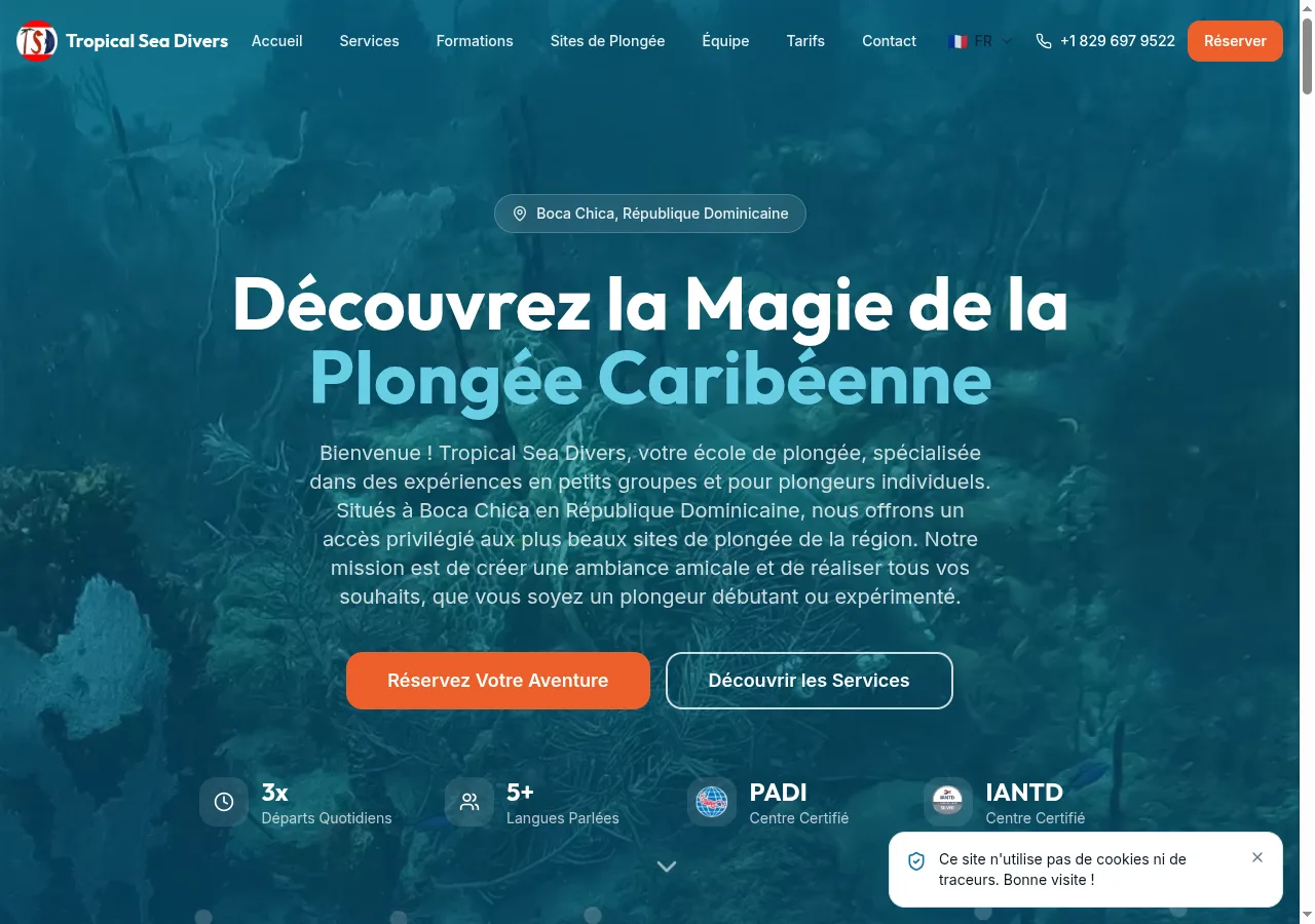 Tropical Sea Divers website after the redesign